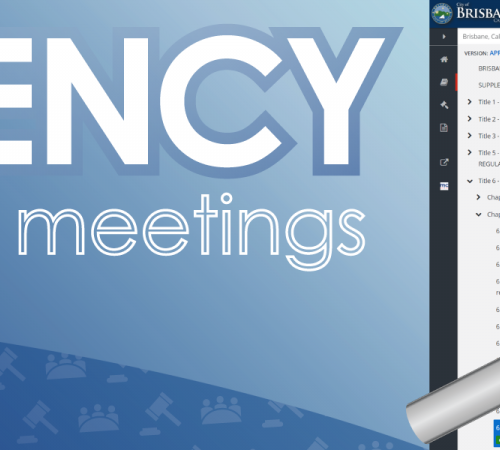 Transparency for local government meetings